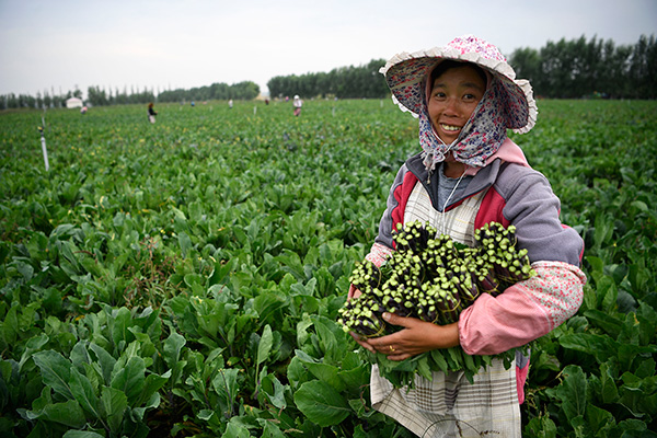 秋收的中國(guó)，你想象不到的美！但更美的是&hellip;&hellip;