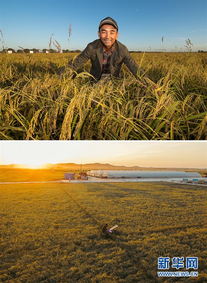 （新華全媒頭條&middot;圖文互動）（10）最年輕的節(jié)日 最悠久的牽念&mdash;&mdash;寫給首個中國農(nóng)民豐收節(jié)