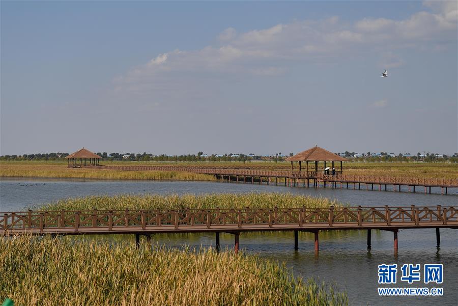 （新華全媒頭條&middot;圖文互動）（10）情系黑土地&mdash;&mdash;習近平總書記考察東北三省回訪記