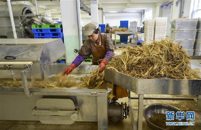 （百城百縣百企調研行&middot;圖文互動）（5）吉林集安：邊陲&ldquo;綠色明珠&rdquo;為何如此閃亮？