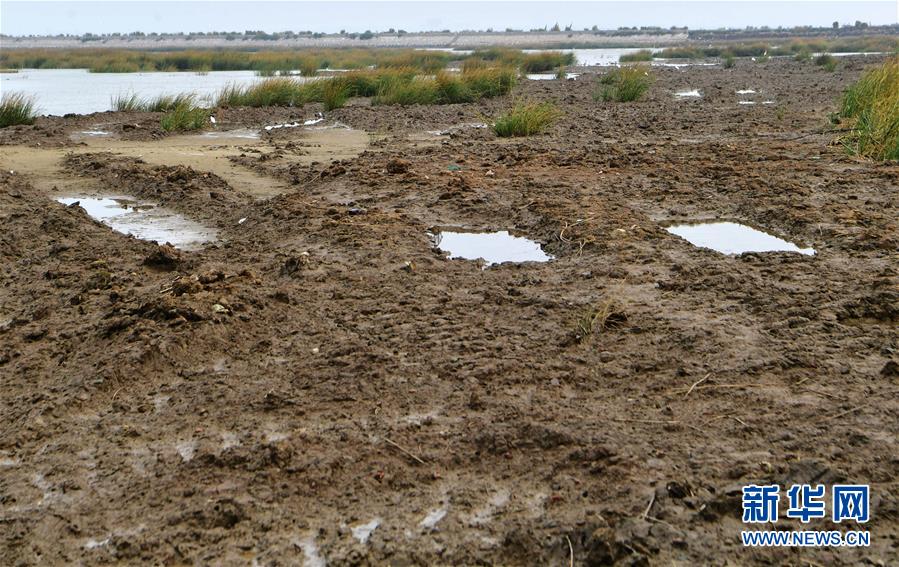 （新華視點(diǎn)&middot;圖文互動(dòng)）（2）福建10名黨員干部被問(wèn)責(zé)的背后：7部門(mén)十余次執(zhí)法未能有效制止泉州灣濕地圍墾行為