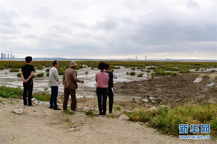 （新華視點(diǎn)&middot;圖文互動(dòng)）（5）福建10名黨員干部被問(wèn)責(zé)的背后：7部門(mén)十余次執(zhí)法未能有效制止泉州灣濕地圍墾行為