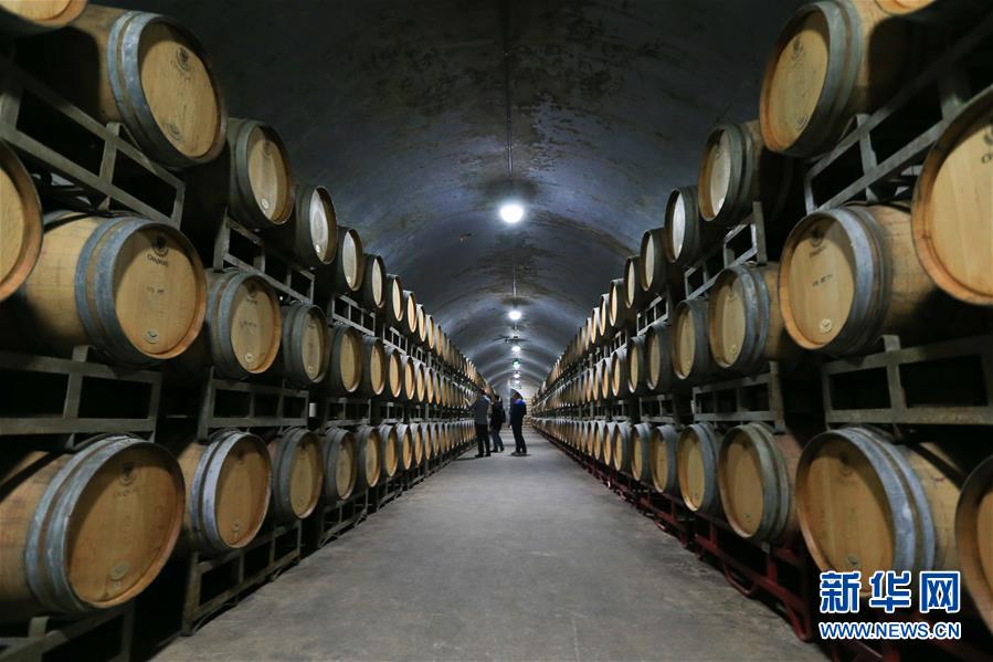 (百城百縣百企調研行·圖文互動)(7)“藍鯨1號”從這里駛出——山東煙臺崛起制造業(yè)高地