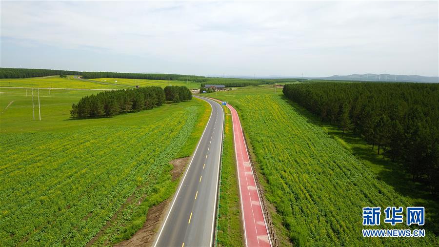 （新華全媒頭條&middot;圖文互動(dòng)）（4）那一抹綠色，走進(jìn)越來越多人心里&mdash;&mdash;河北塞罕壩續(xù)寫新時(shí)代綠色傳奇