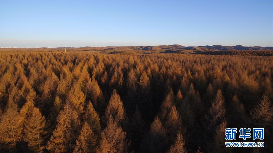（新華全媒頭條&middot;圖文互動(dòng)）（6）那一抹綠色，走進(jìn)越來越多人心里&mdash;&mdash;河北塞罕壩續(xù)寫新時(shí)代綠色傳奇