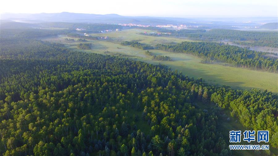 （新華全媒頭條&middot;圖文互動(dòng)）（5）那一抹綠色，走進(jìn)越來越多人心里&mdash;&mdash;河北塞罕壩續(xù)寫新時(shí)代綠色傳奇