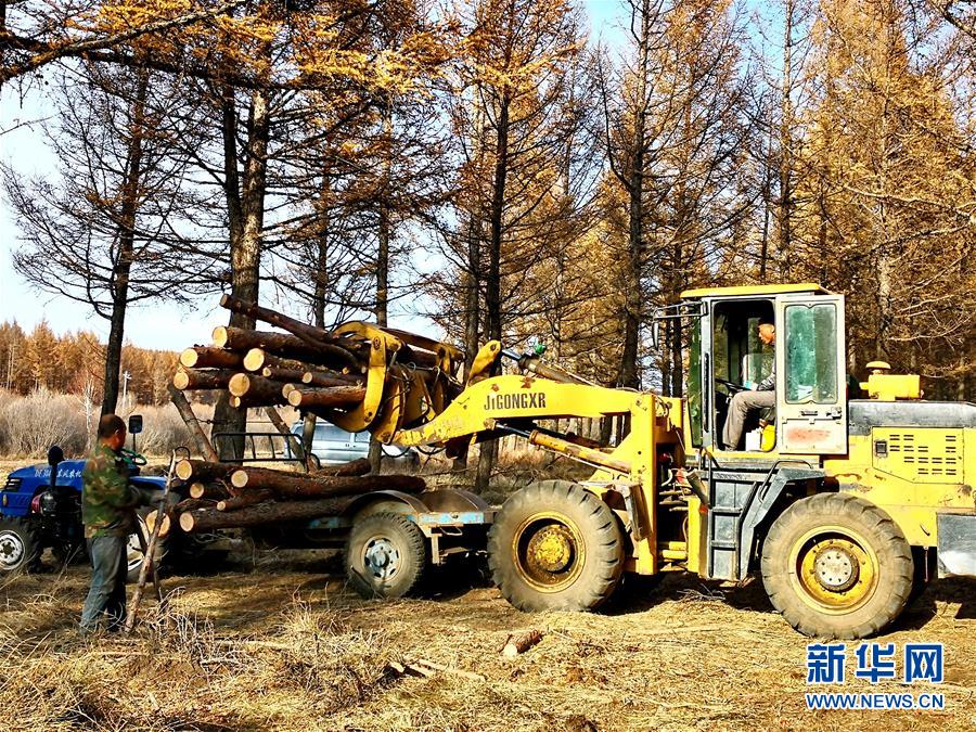 （新華全媒頭條&middot;圖文互動(dòng)）（7）那一抹綠色，走進(jìn)越來越多人心里&mdash;&mdash;河北塞罕壩續(xù)寫新時(shí)代綠色傳奇