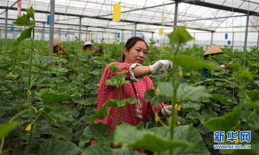 （新華全媒頭條&middot;圖文互動(dòng)）（11）心中有夢(mèng)想，腳下就有力量&mdash;&mdash;寫在&ldquo;中國(guó)夢(mèng)&rdquo;提出六周年之際