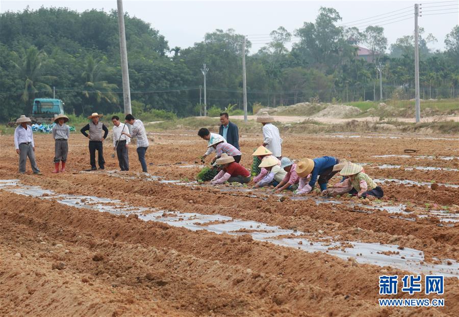 （新華視點(diǎn)&middot;回望2018&middot;圖文互動）（7）2018年新華社曝光多起破壞生態(tài)事件，記者年底追訪發(fā)現(xiàn)&hellip;&hellip;