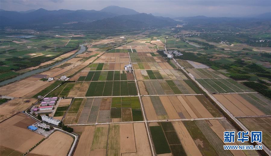 （百城百縣百企調(diào)研行&middot;圖文互動）（1）海南農(nóng)墾：農(nóng)業(yè)&ldquo;國家隊&rdquo;打贏改革&ldquo;翻身仗&rdquo;