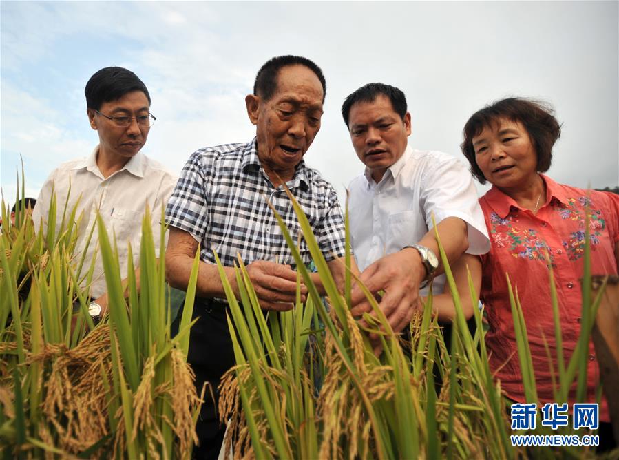 （新華全媒頭條&middot;圖文互動）（14）在時代大潮中書寫時代傳奇&mdash;&mdash;致敬百名改革先鋒 