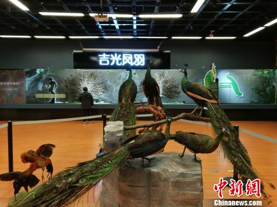 先有雞還是先有蛋？這個科普展覽有點&ldquo;不一般&rdquo;