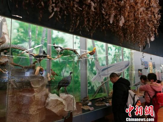 圖為展覽現(xiàn)場。　胡遠航 攝