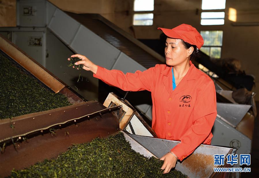 （奮進(jìn)新時(shí)代&middot;迎接兩會(huì)）（2）開(kāi)放發(fā)展&mdash;&mdash;推動(dòng)形成全面開(kāi)放新格局