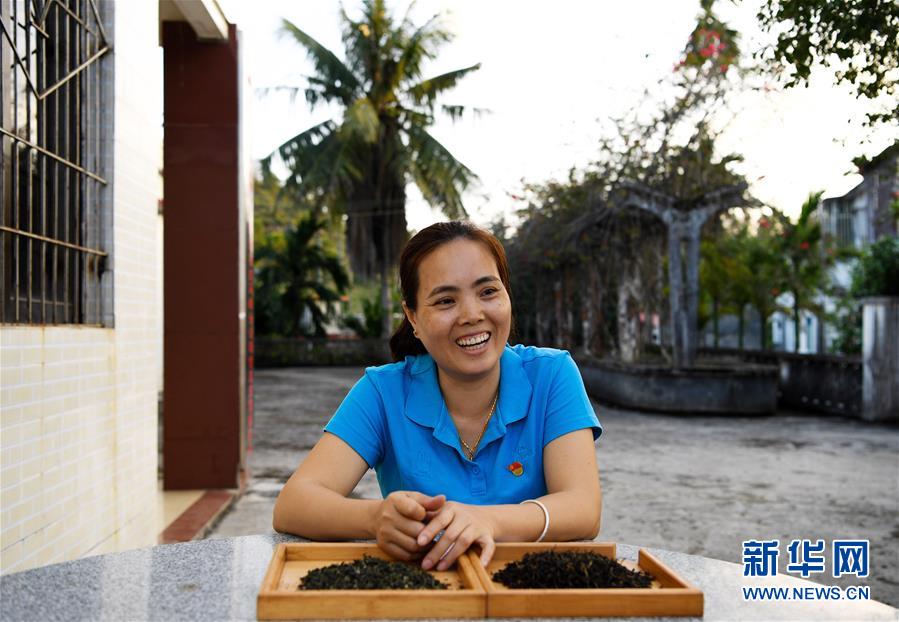 （奮進(jìn)新時(shí)代&middot;迎接兩會(huì)）（3）開放發(fā)展&mdash;&mdash;推動(dòng)形成全面開放新格局