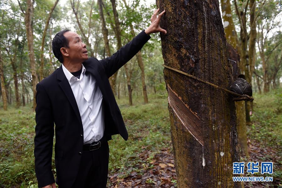 （兩會&middot;基層委員履職故事）（6）全國政協(xié)委員羊風極：讓家鄉(xiāng)在鄉(xiāng)村振興中發(fā)展得更好