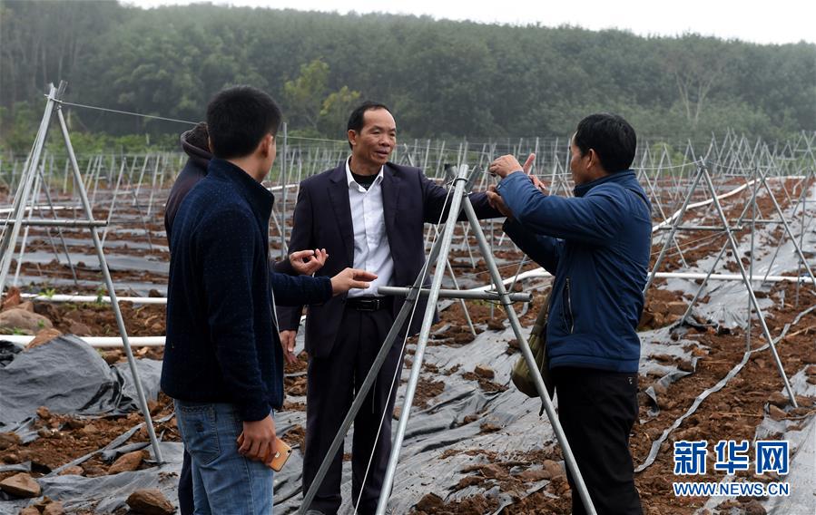 （兩會&middot;基層委員履職故事）（7）全國政協(xié)委員羊風極：讓家鄉(xiāng)在鄉(xiāng)村振興中發(fā)展得更好