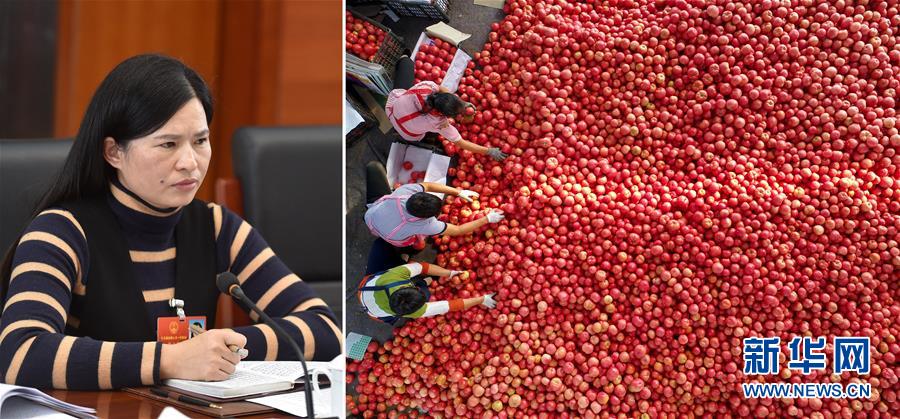 （兩會&middot;影像鏈接）全國人大代表曾云英：新型農(nóng)業(yè)將迎來高質量發(fā)展的機遇