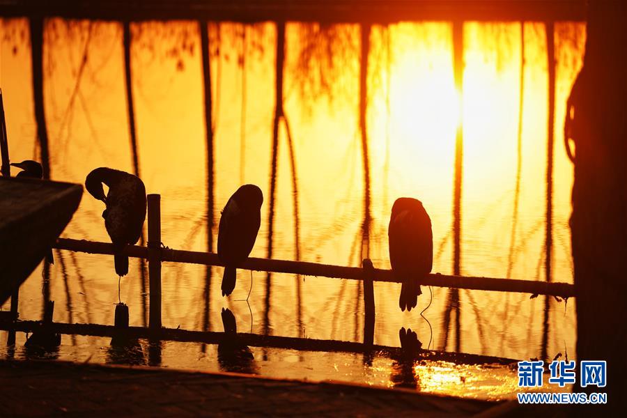 （新華全媒頭條&middot;圖文互動）（8）&ldquo;雄安大計&rdquo;躍然紙上 &ldquo;未來之城&rdquo;呼之欲出&mdash;&mdash;《河北雄安新區(qū)總體規(guī)劃》解讀