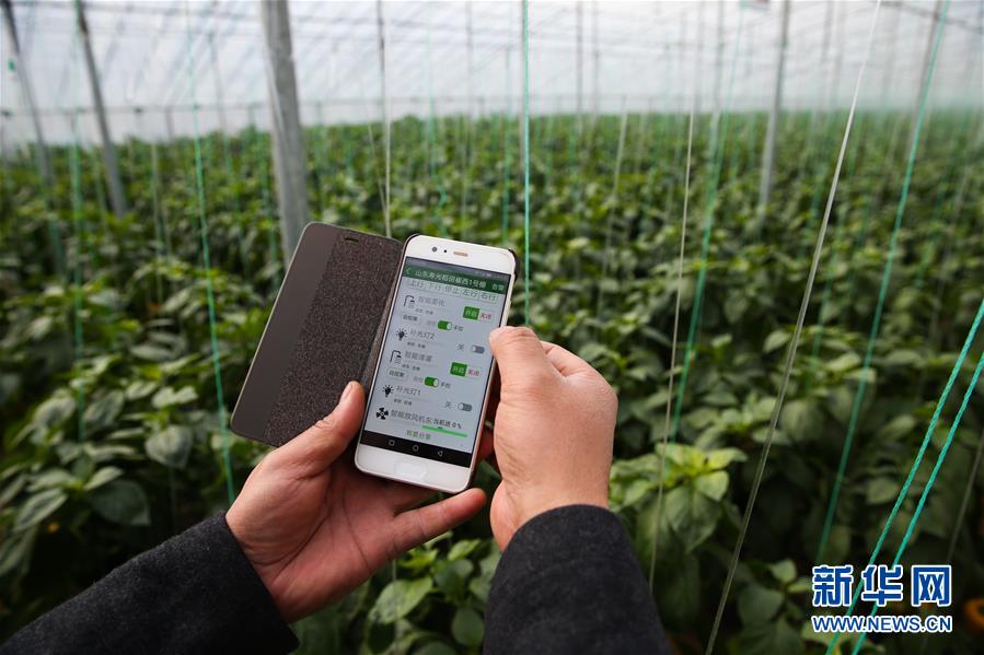 （新華全媒頭條&middot;圖文互動）（8）聚焦高質(zhì)量，躍上新臺階&mdash;&mdash;新年開局看中國經(jīng)濟信心和潛力