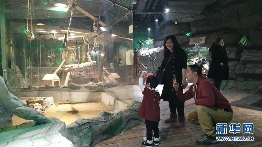 （新春走基層&middot;圖文互動(dòng)）（1）新疆&ldquo;新年俗&rdquo;：動(dòng)物王國學(xué)知識(shí) 冰雪世界強(qiáng)身體