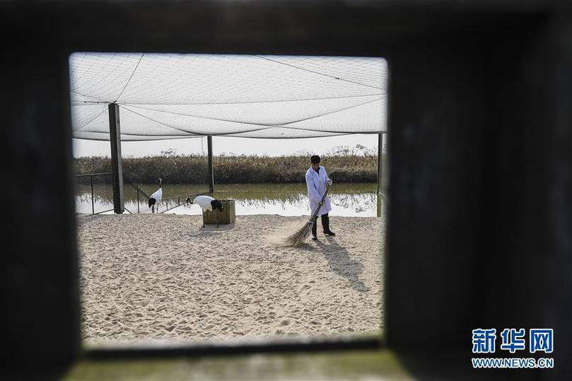 （兩會(huì)前夕看落實(shí)&middot;圖文互動(dòng)）（3）綠色發(fā)展引領(lǐng) 守護(hù)&ldquo;魚(yú)米之鄉(xiāng)&rdquo;&mdash;&mdash;江蘇落實(shí)習(xí)近平總書(shū)記全國(guó)兩會(huì)重要講話精神紀(jì)實(shí)