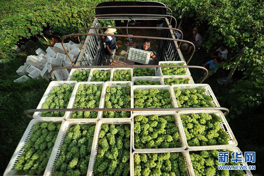 （兩會(huì)前夕看落實(shí)&middot;圖文互動(dòng)）（7）決戰(zhàn)脫貧攻堅(jiān) 奮力后發(fā)趕超&mdash;&mdash;貴州落實(shí)習(xí)近平總書記全國(guó)兩會(huì)重要講話精神紀(jì)實(shí)