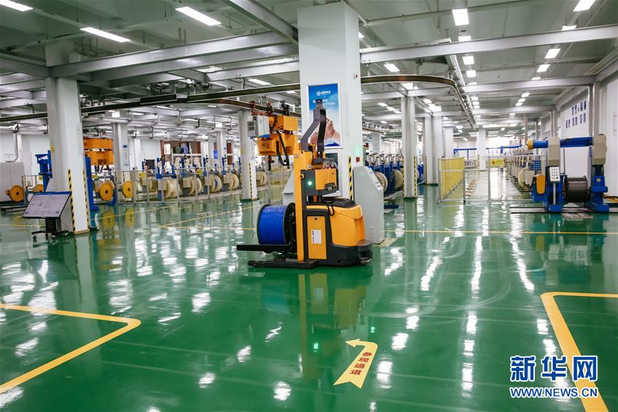 (新華全媒頭條·圖文互動)(7)沖寒先已笑東風(fēng)——新春浙江民營企業(yè)走訪實錄