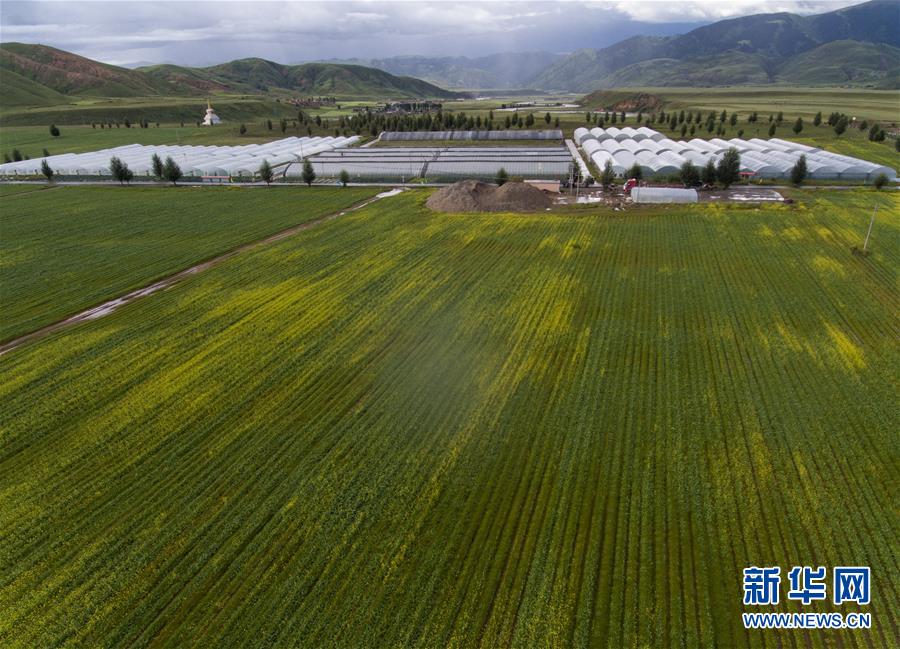 （兩會前夕看落實&middot;圖文互動）（6）&ldquo;飛針走線&rdquo;&ldquo;繡&rdquo;出小康畫卷&mdash;&mdash;四川落實習(xí)近平總書記全國兩會重要講話精神紀(jì)實
