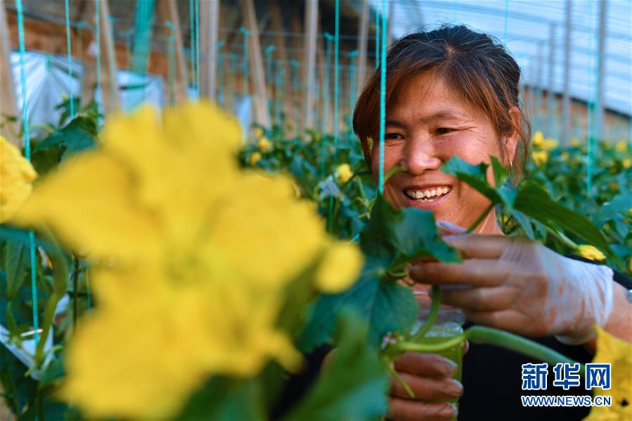 （兩會(huì)前夕看落實(shí)&middot;圖文互動(dòng)）（4）融合&ldquo;三生三美&rdquo; 打造鄉(xiāng)村振興齊魯樣板&mdash;&mdash;山東落實(shí)習(xí)近平總書記全國兩會(huì)重要講話精神紀(jì)實(shí)