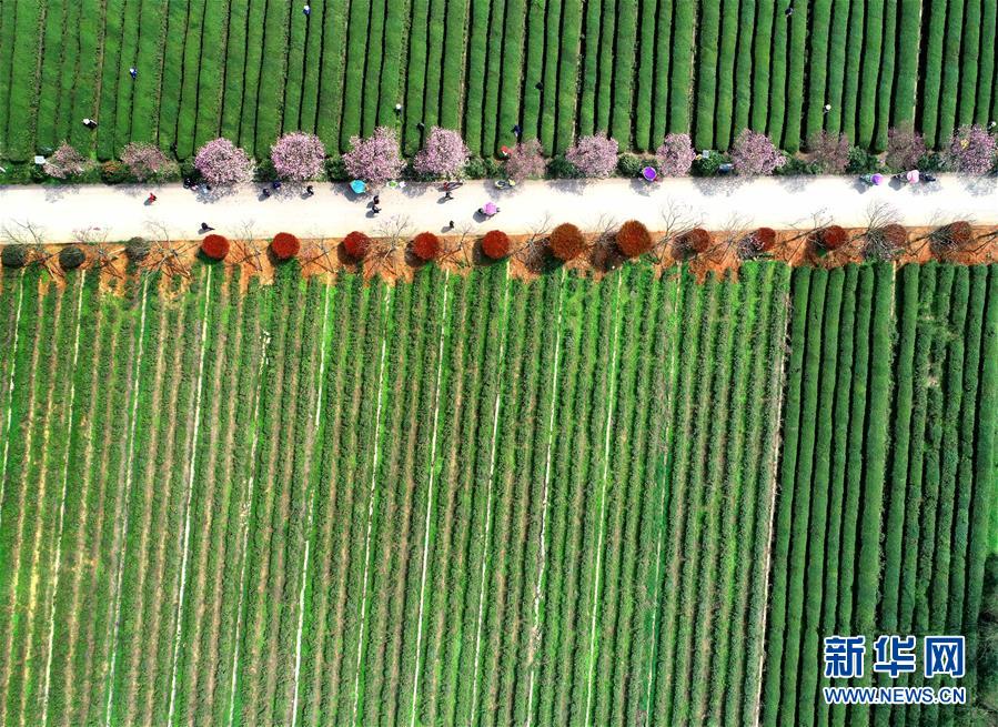 （新華全媒頭條&middot;兩會精神看落實&middot;圖文互動）（3）保持戰(zhàn)略定力 跨越重要關(guān)口&mdash;&mdash;落實兩會精神加強(qiáng)生態(tài)文明建設(shè)述評