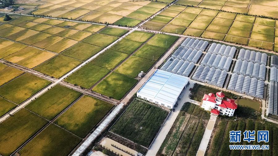 （新華全媒頭條&middot;愛(ài)國(guó)情 奮斗者&middot;圖文互動(dòng)）（8）一個(gè)村的奮斗，一個(gè)時(shí)代的巨變&mdash;&mdash;記敢&ldquo;蹚新路&rdquo;的小崗人