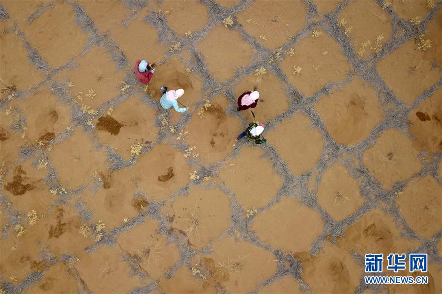 (新華全媒頭條·圖文互動(dòng))(2)八步沙·六老漢·三代人