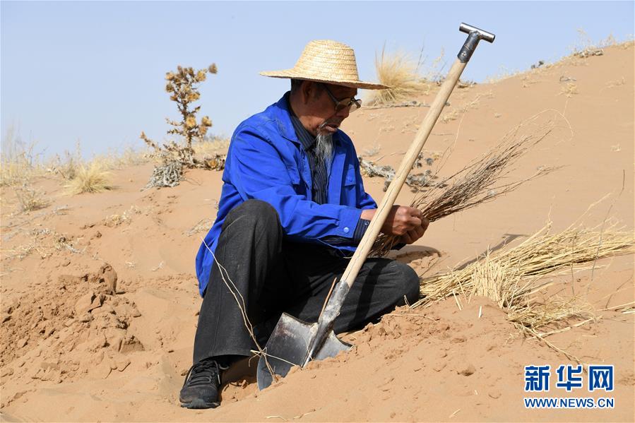 (新華全媒頭條·圖文互動(dòng))(11)八步沙·六老漢·三代人