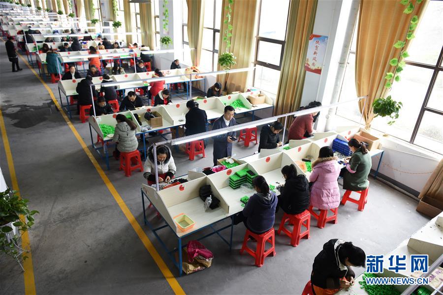 （在習(xí)近平新時(shí)代中國(guó)特色社會(huì)主義思想指引下&mdash;&mdash;新時(shí)代新作為新篇章&middot;圖文互動(dòng)）（5）&ldquo;搬遷到哪里，服務(wù)就延伸到哪里&rdquo;&mdash;&mdash;貴州推進(jìn)易地扶貧搬遷&ldquo;后半篇文章&rdquo; 