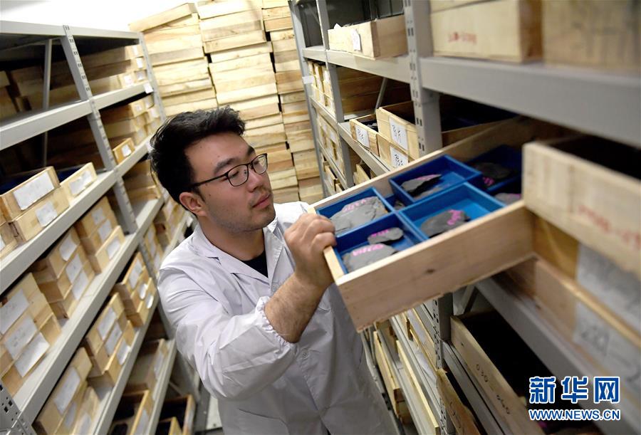 （新華全媒頭條&middot;圖文互動）（4）探尋5億年前&ldquo;生命大爆炸&rdquo;之奧秘&mdash;&mdash;中國科學(xué)家發(fā)現(xiàn)寒武紀(jì)&ldquo;化石寶庫&rdquo;清江生物群紀(jì)實