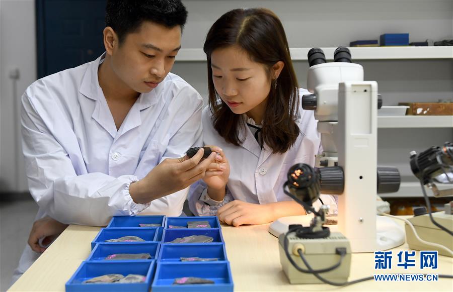 （新華全媒頭條&middot;圖文互動）（5）探尋5億年前&ldquo;生命大爆炸&rdquo;之奧秘&mdash;&mdash;中國科學(xué)家發(fā)現(xiàn)寒武紀(jì)&ldquo;化石寶庫&rdquo;清江生物群紀(jì)實