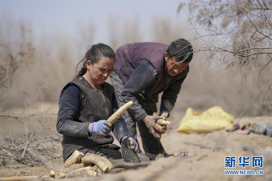 （新華全媒頭條&middot;圖文互動(dòng)）（6）一步千年，&ldquo;最后的沙漠部落&rdquo;遷入新家園