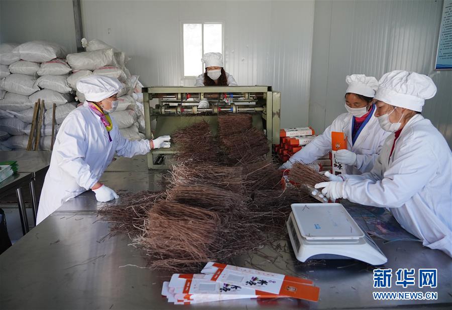 （走基層 聽民聲&middot;圖文互動）（5）電商扶貧 讓陜西山區(qū)農業(yè)擁抱&ldquo;藍海&rdquo;