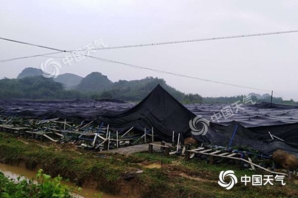 周末雨不休！南北方同迎大范圍降水