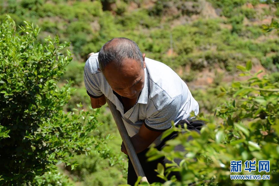 (壯麗70年&middot;奮斗新時(shí)代&middot;圖文互動(dòng)）（1）福建長(zhǎng)?。簱Q顏&ldquo;山光水濁&rdquo; 永駐綠水青山