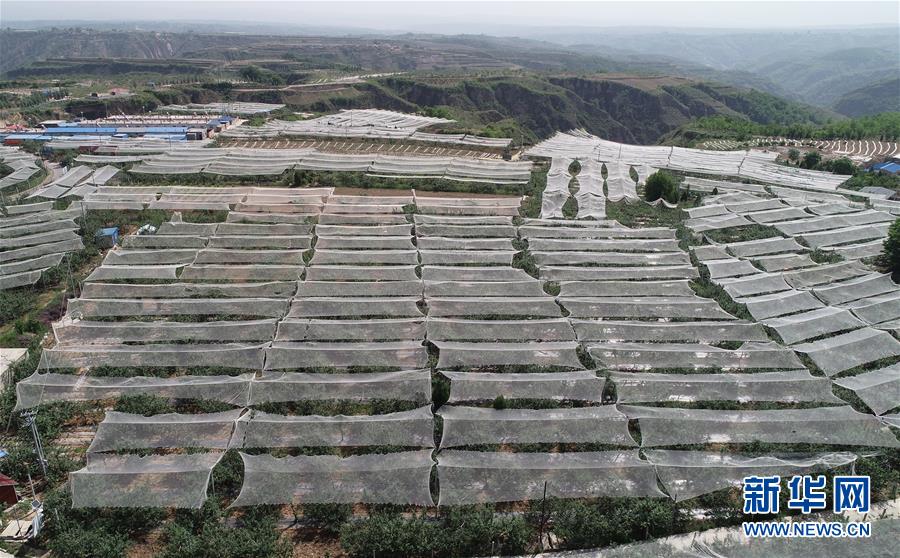 （新華全媒頭條&middot;圖文互動(dòng)）（11）春暉沐浴寶塔山&mdash;&mdash;寫在延安各縣整體脫貧摘帽之際