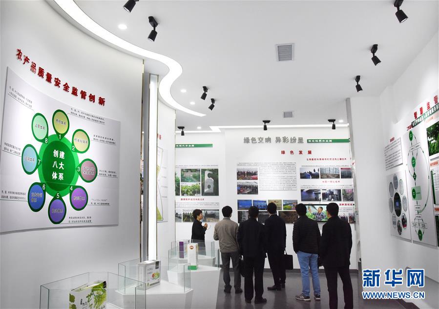 （壯麗70年&middot;奮斗新時(shí)代&middot;圖文互動(dòng)）（5）山東壽光：一棵&ldquo;菜&rdquo;興一座城 