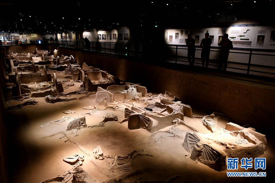 （新華全媒頭條&middot;圖文互動）（4）&ldquo;若問古今興廢事，請君只看洛陽城&rdquo;&mdash;&mdash;千年古都&ldquo;烹制&rdquo;博物館盛宴