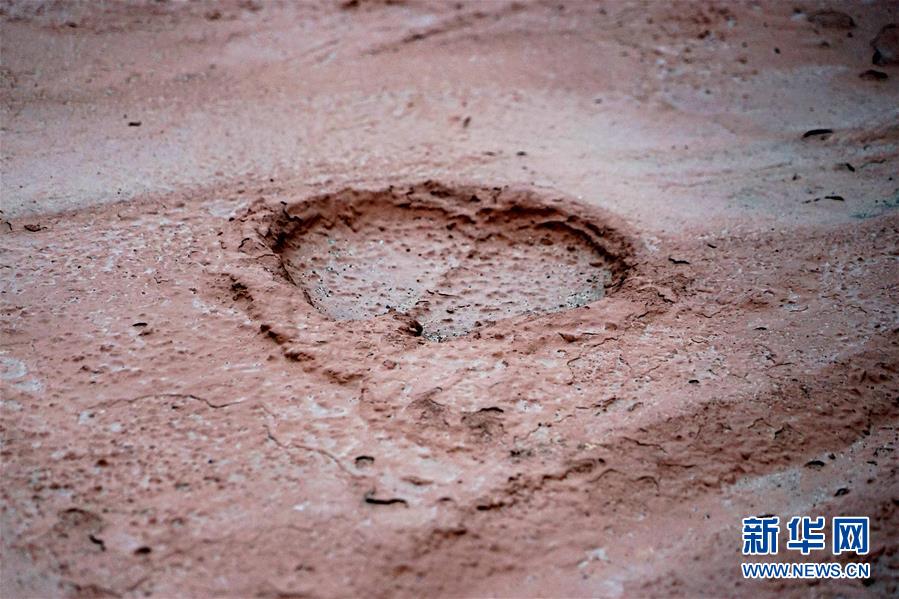 （新華全媒頭條&middot;圖文互動）（8）&ldquo;若問古今興廢事，請君只看洛陽城&rdquo;&mdash;&mdash;千年古都&ldquo;烹制&rdquo;博物館盛宴