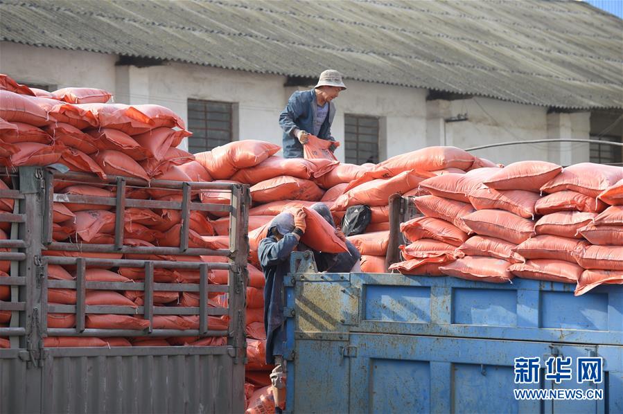 （在習(xí)近平新時代中國特色社會主義思想指引下&mdash;&mdash;新時代新作為新篇章&middot;圖文互動）（1）云南省陸良縣：農(nóng)民給供銷社打&ldquo;白條&rdquo; 