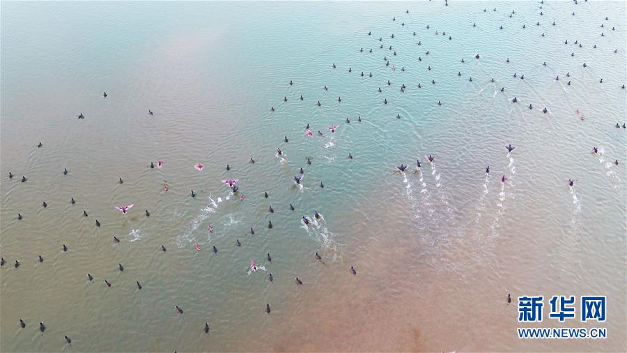 （新華全媒頭條&middot;圖文互動）（6）大河歸來