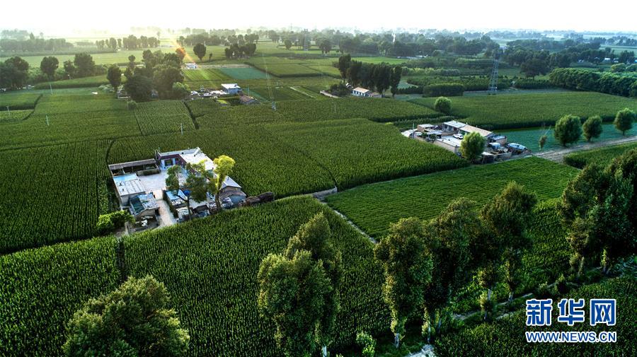 (權(quán)威訪談·聚焦中國經(jīng)濟(jì)亮點(diǎn)·圖文互動(dòng))(2)防治土地荒漠化 推動(dòng)綠色發(fā)展——專訪國家林業(yè)和草原局副局長劉東生