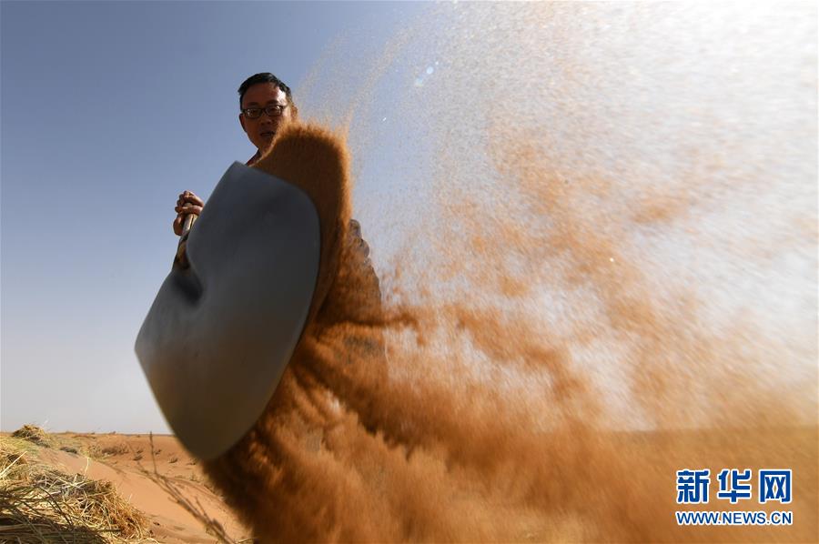 (權(quán)威訪談·聚焦中國經(jīng)濟(jì)亮點(diǎn)·圖文互動(dòng))(10)防治土地荒漠化 推動(dòng)綠色發(fā)展——專訪國家林業(yè)和草原局副局長劉東生