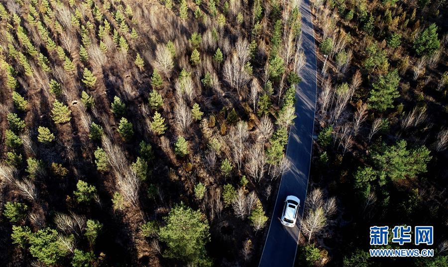 （壯麗70年&middot;奮斗新時(shí)代&middot;圖文互動(dòng)）（12）毛烏素治理：眾志縛流沙 塞外展新顏